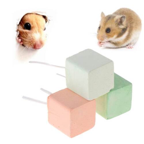 速发ter Teeth Gridig St Mier Ccium Rabbit Rat Squi
