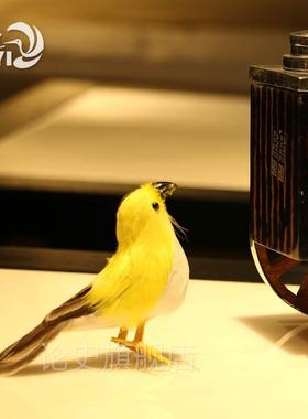 速发精品山雀喜鹊金翅雀黄鹂鸟羽毛小鸟园林家居摆饰摄影道具