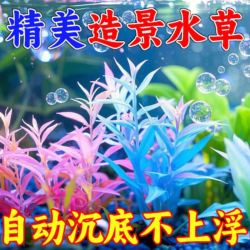 速发鱼缸造景装饰仿真水族水草海草水族箱布景植物摆件古法造景鱼