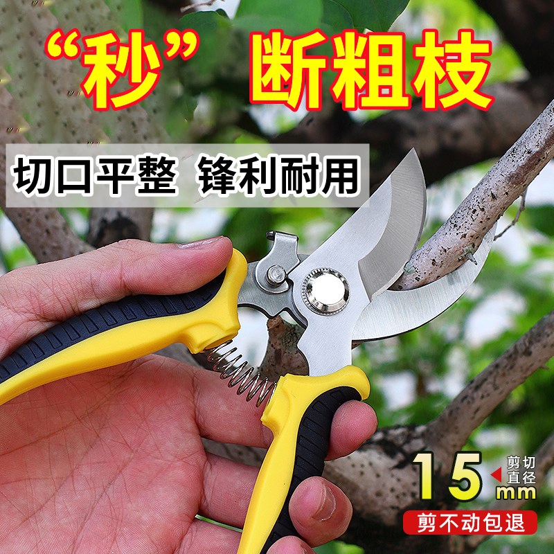 速发花剪枝修艺剪刀园枝剪省力修剪树枝果树园林花卉花艺剪刀工具