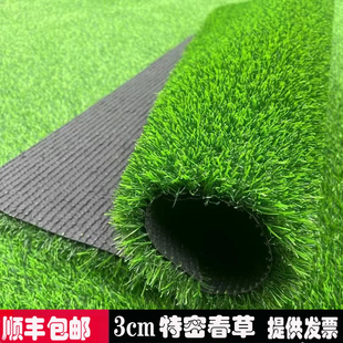 仿真草坪春草花园楼顶露台装饰草隔热降噪户外人造假草皮地毯