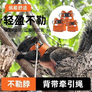 小宠松鼠牵引绳背心式胸背带链子花枝鼠绳子溜绳魔王黄山户外衣服