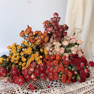 速发云南多头插瑰干花真花蔷薇泡泡摆束家居客厅装饰玫花花件送人