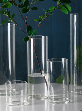 速发特大号玻直花瓶培贵竹璃筒摆件客厅插花落地花器水富花