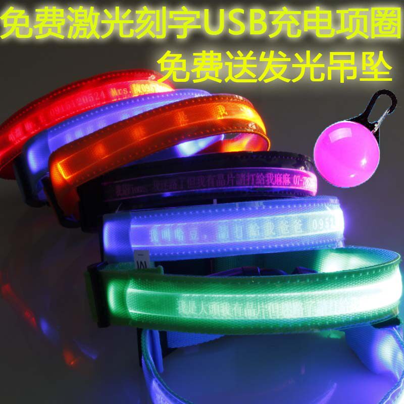 USB充电LED宠物闪光发光狗项圈/肩带