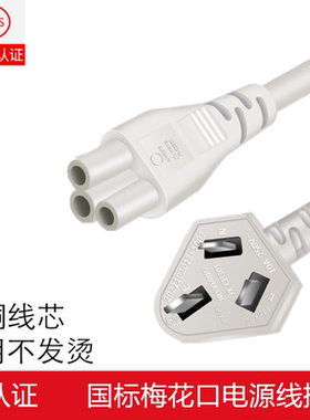 适用AUX奥克斯HX-S0501电热水杯DR08烧水杯养生壶3孔充电源线插头