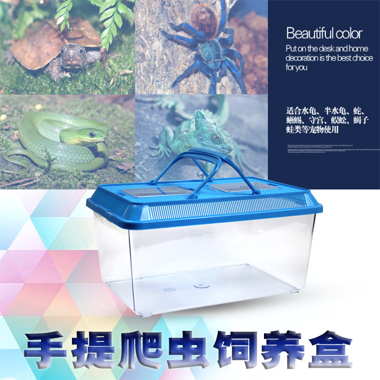塑料长方形爬虫饲养盒子蜥蜴宠物蛇昆虫蜗牛爬宠饲养箱蜘蛛守宫盒
