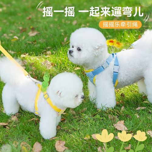 速发背心式胸背带项圈纳狗神器小型犬狗链子比熊泰雪迪遛瑞