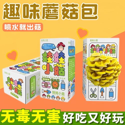 速发蘑菇种学包儿童种植小盆栽可菇用菌食包植校家庭桌面趣味植物
