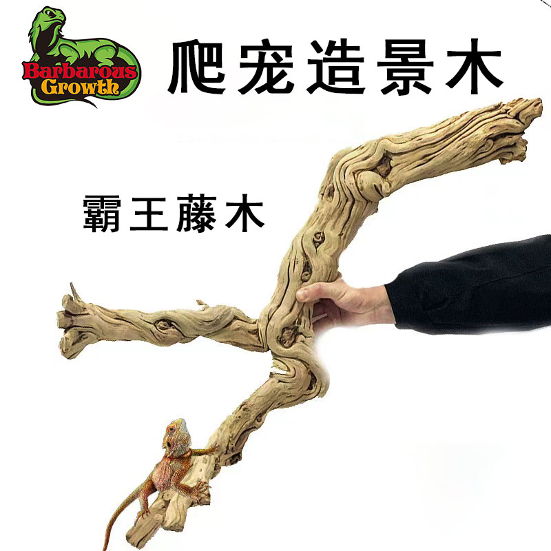 速发BG爬宠霸王藤木造守装饰爬箱装狮鬃饰蜥蛇景宫攀爬藤条树藤条
