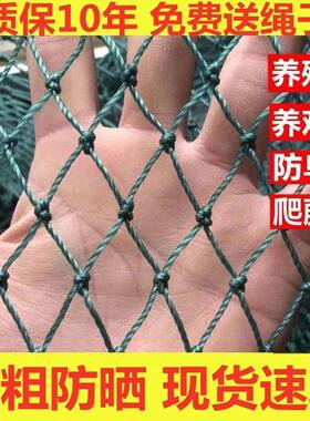养鸡网养殖网拦鸡鸭网防鸟网隔断爬藤网菜园围网果园网护栏网天网