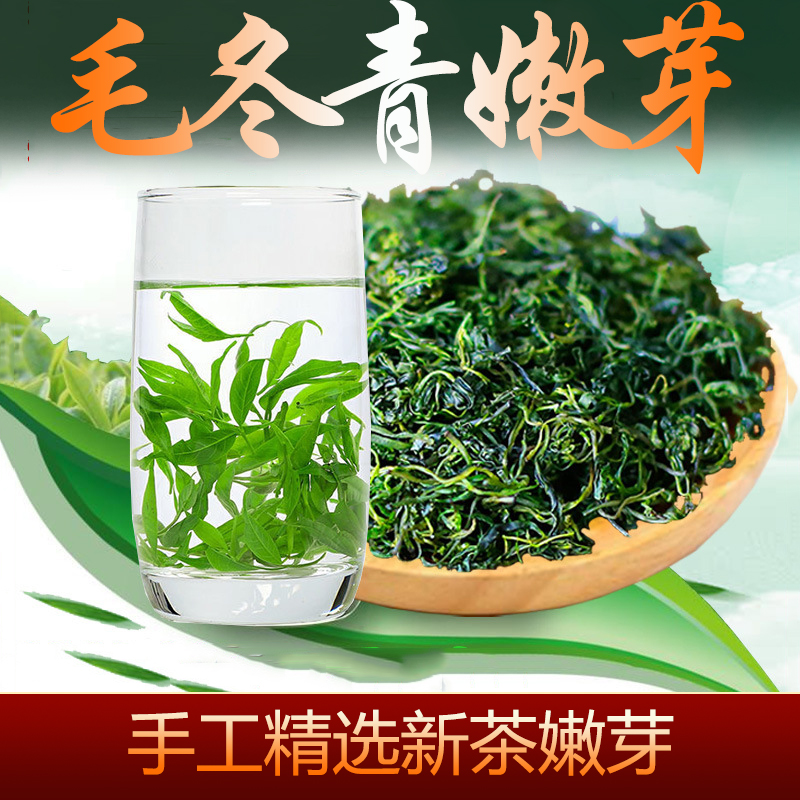 2024新茶正品云南野生毛冬青嫩芽养生茶特级泡水喝中药材茶叶500g