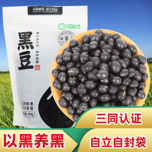 东北非转基因黑豆原味青仁绿心