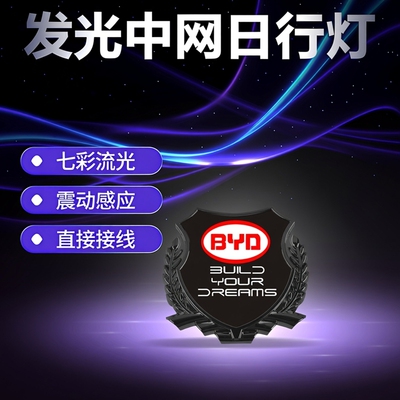 比亚迪秦唐宋元PLUS MAXPRO新能源麦穗中网发光标灯日行灯LED七彩