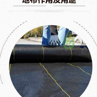 速发金农抗老化防草布园艺地布除草防草盖草布土工布除草垫布抑草图片