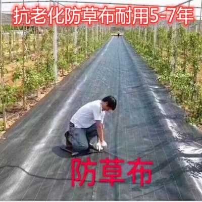 速发品新防草布除草布农色打孔地布多功A能钉塑子料黑用地膜专用