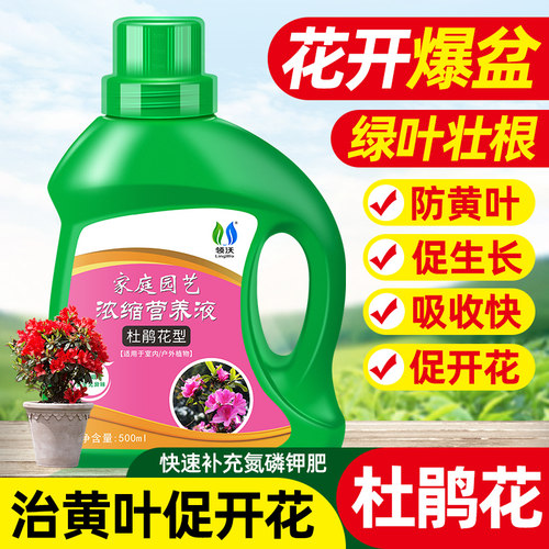速发专卉肥营养液花肥料家用盆栽花用物用型养花酸性植通叶面肥