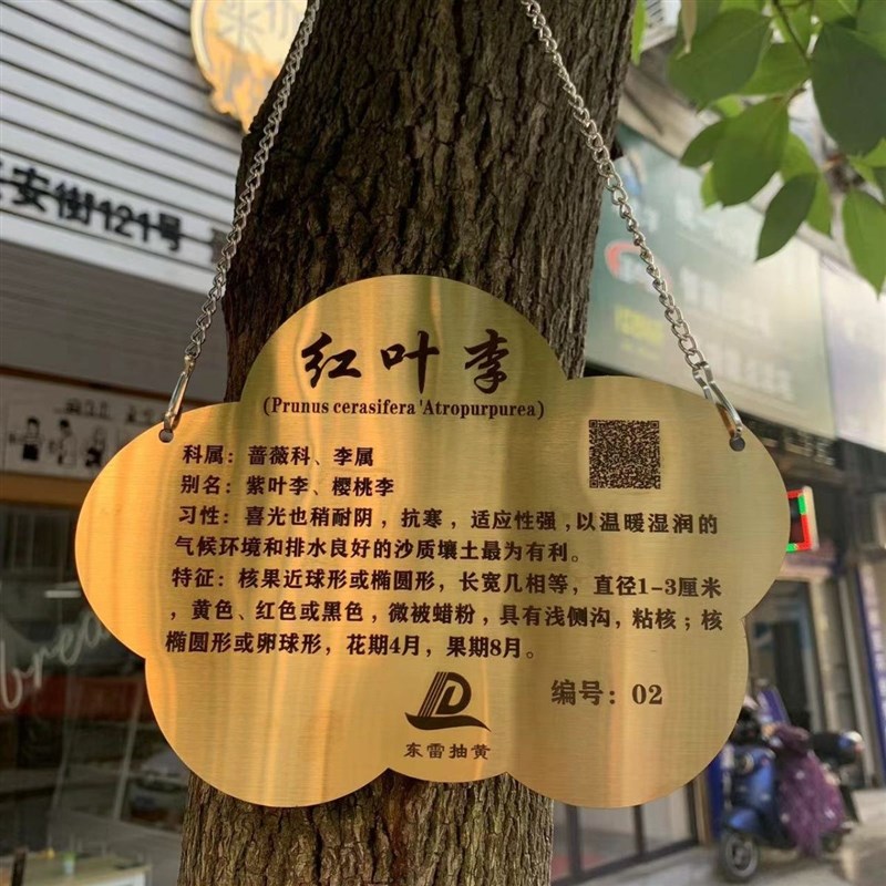 速发树牌挂牌防水树木标识牌植物花草牌不锈钢树牌树木介绍悬挂牌
