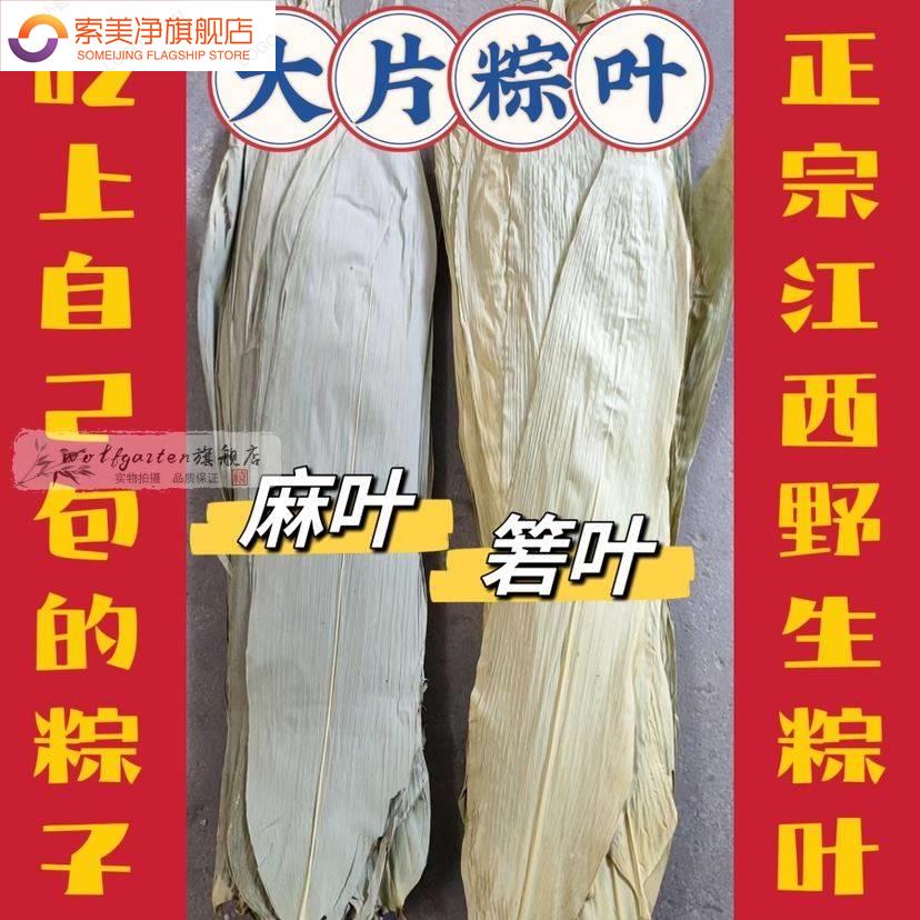 速发糉糉糉包叶箬叶新鲜大号干家用麻竹叶子糉子的叶叶特大棕叶芦