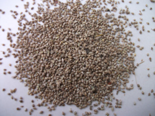 速发稗子/草/草籽1 虎皮牡丹 鹦鹉鸟食鸟粮包一件= 斤 满 5斤 邮