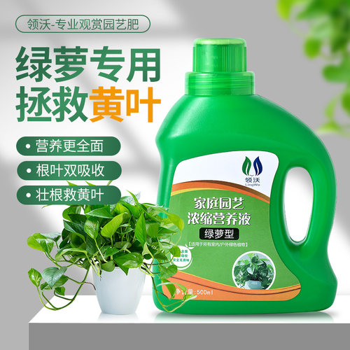 速发绿萝营养液绿箩营业叶肥料专用肥绿藤花肥绿液王吊兰常青罗肥
