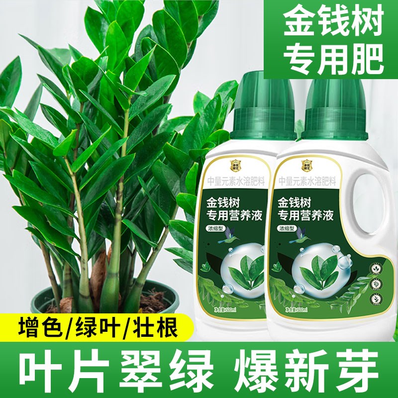 速发金树树液用营养专叶子发黄叶烂根摇钱钱肥钱串子金钱树肥料专