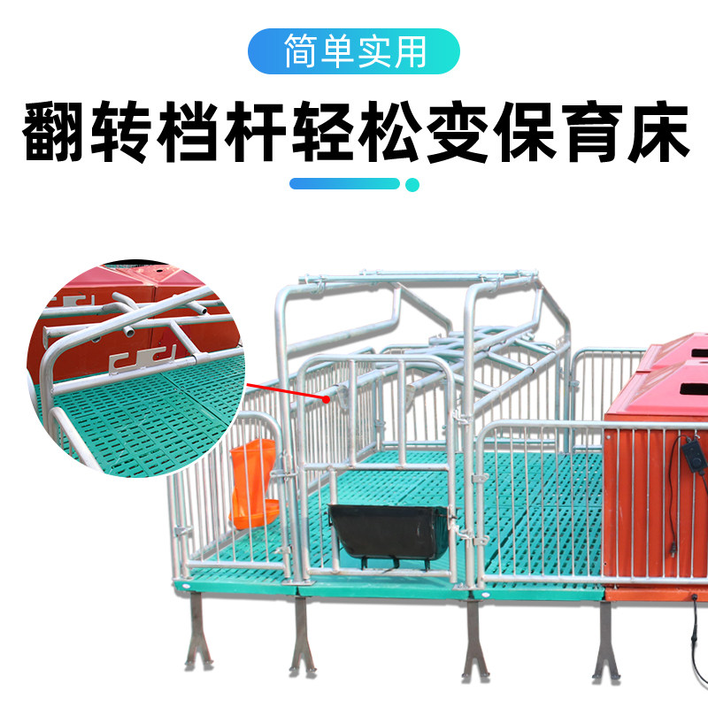 速发母猪产床仔猪保育床一体两用分娩床母猪限位栏复合板养殖设备