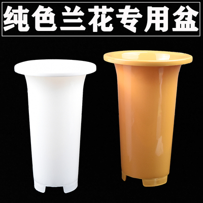 速发侬花兰兰盆花盆塑料兰花盆简约兰花花花大号兰草盆桌面高村盆