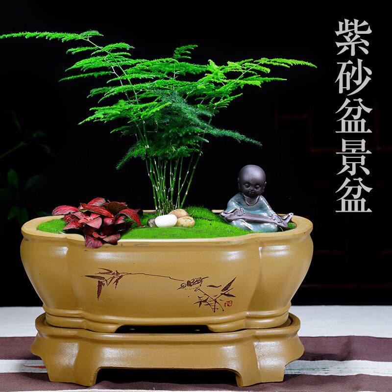 速发紫砂花盆长方形紫砂盆景盆带托盘罗汉松文竹花盆透气榕树小叶