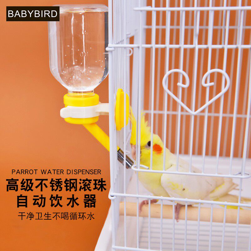速发鸟用自动小号滚水专装水高级不锈钢饮珠水壶水瓶水盒水碗鹦鹉