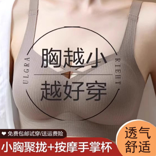 内衣女小胸聚拢收副乳防下垂显大2024新款固定杯无钢圈无痕文胸罩