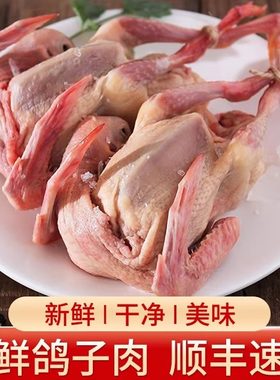 新鲜乳鸽现杀速冻散养土鸽子
