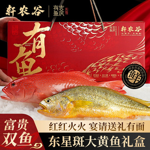 深海东星斑大黄鱼海鲜礼盒高端浙江宁波舟山特产大礼包水产新鲜