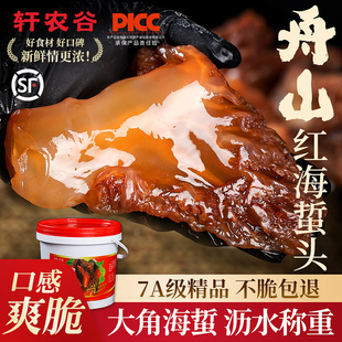 正宗东海野生海蜇头4斤桶装凉拌舟山海蛰头海蜇丝即食7A海蜇包邮