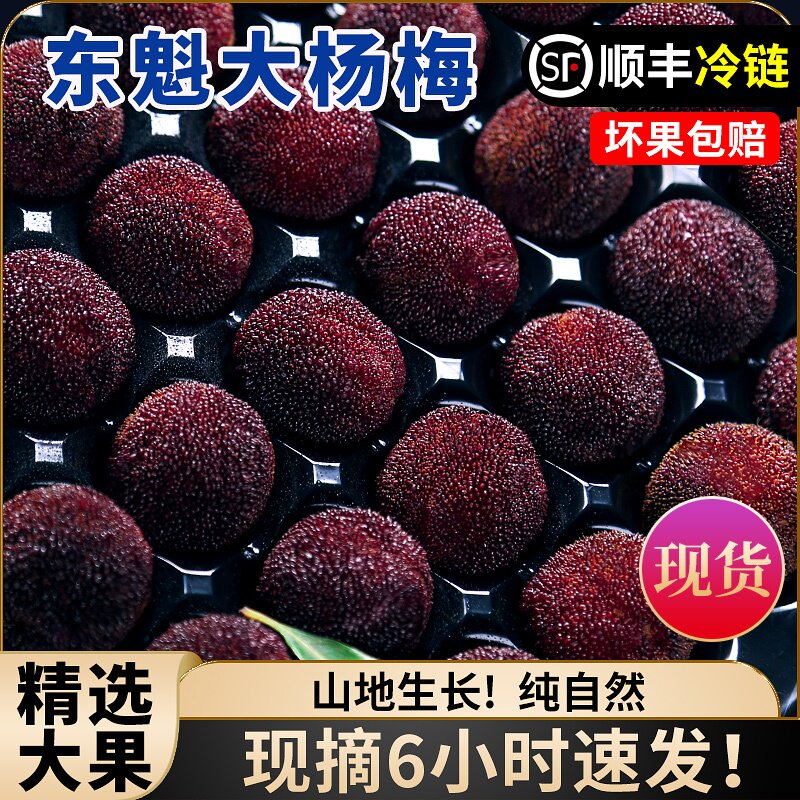 正宗东魁杨梅特大鲜果新鲜仙居杨梅颗粒装当季水果现摘现发礼盒装
