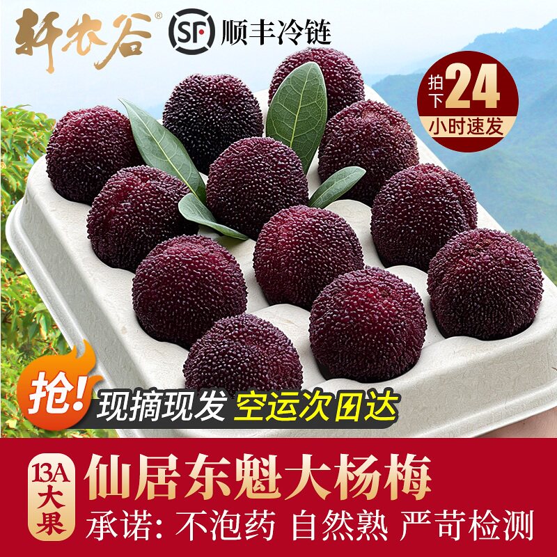 仙居杨梅鲜果新鲜东魁应季浙江水果扬梅现摘现发大果鲜杨梅礼盒