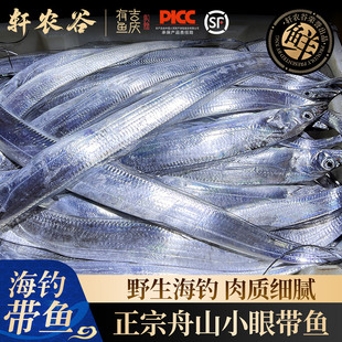 舟山带鱼新鲜海钓小眼钓带鱼鲜活新鲜冷冻整条海鲜水产鲜带鱼刀鱼