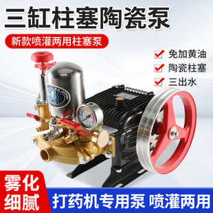 三缸柱塞泵打药机喷雾器高压农用园林果树小型家用电动喷洒农药泵