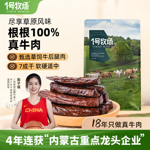 7成干风干牛肉内蒙古手撕牛肉干