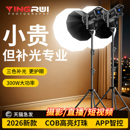 300W专业COB直播补光灯主播专用
