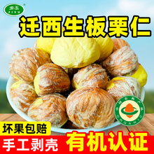 紫玉2025年去外壳有机迁西生板栗仁手工现剥去皮新鲜栗子油栗仁