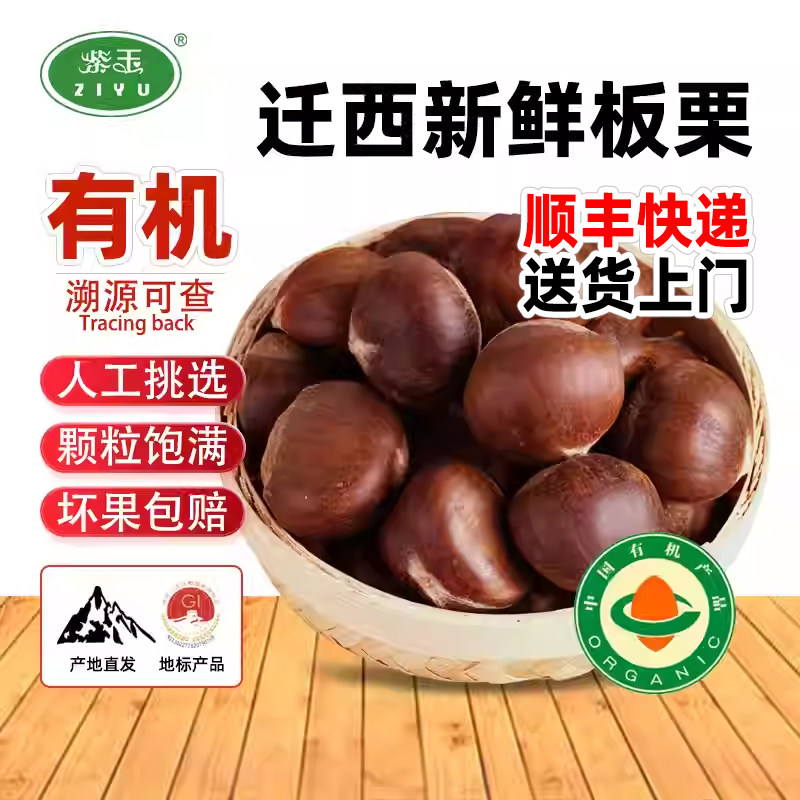 紫玉迁西板栗生新鲜有机油栗产地直发栗子人工挑选大粒唐山特产