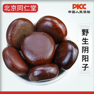 同仁堂阴阳子中药材500g正品 野生木腰子龙凤子男性泡酒料搭风流果