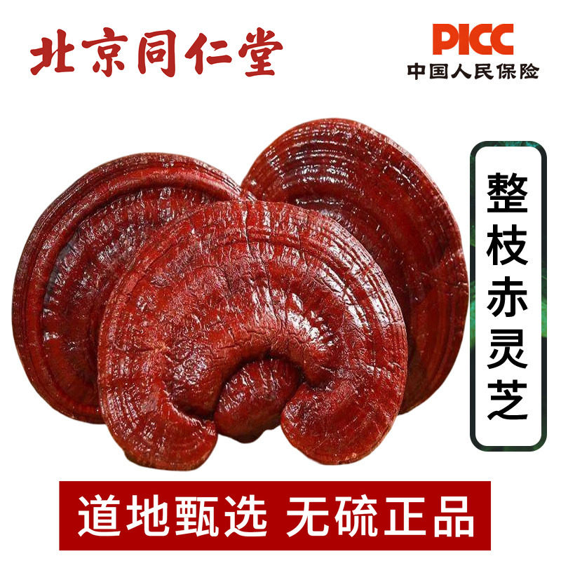 整枝赤灵芝500g长白山野生正品灵芝高含量林芝泡酒茶煲汤赤灵芝片