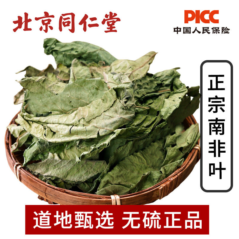 南非叶中药新货干叶茶将军叶苦胆叶尖尾凤干叶南叶泡水泡茶养生茶