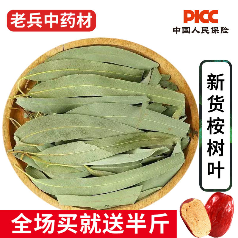 桉树叶中药材500g正品新货大叶桉自然晒干小桉叶尤加利叶按树叶子