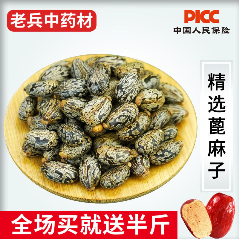 蓖麻子中药材500g正品野生新鲜生蓖麻子 中药蓖麻子粉 蓖麻子仁