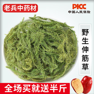 伸筋草中药材500g野生新货小伸筋草透骨草海风藤宽筋藤白芥子泡脚