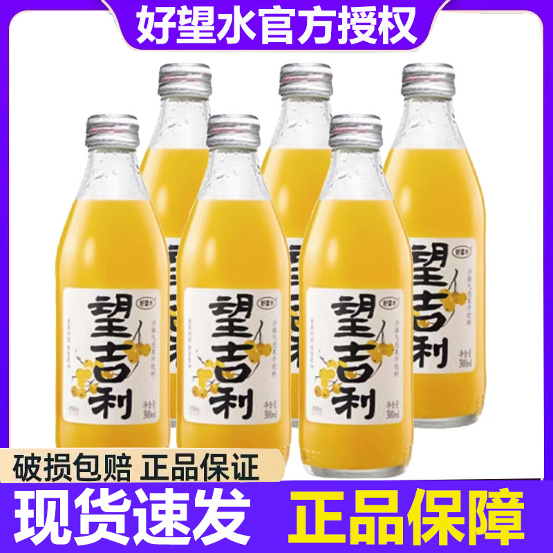 好望水望吉利300ml*6瓶果汁果味