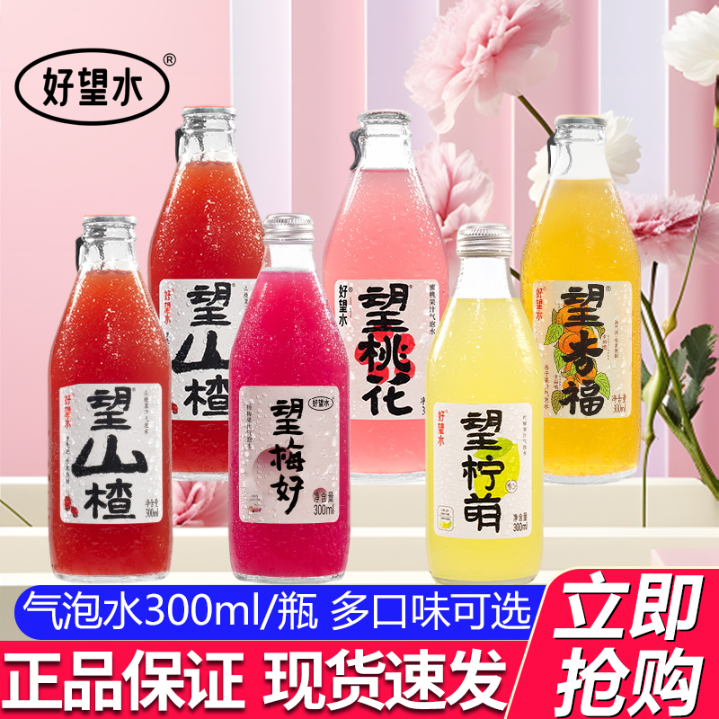 好望水气泡水饮料300ml*6瓶